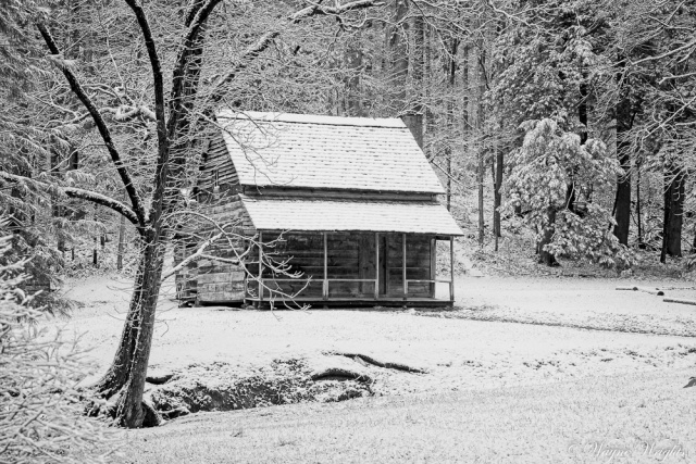 "Henry Whitehead Cabin in the snow"